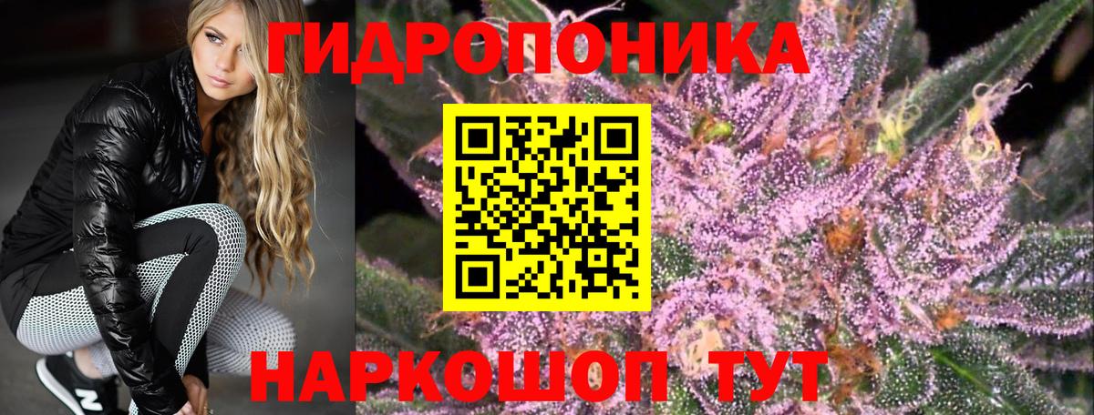 Бошки марихуана ГИДРОПОН Тимашёвск